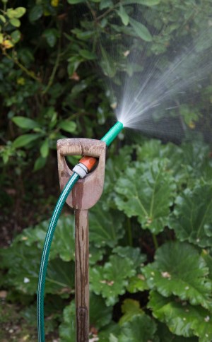 Watering restrictions