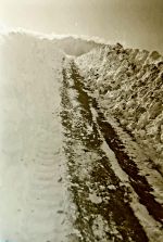 Mackenzie District Snow Scene - circa 1930s