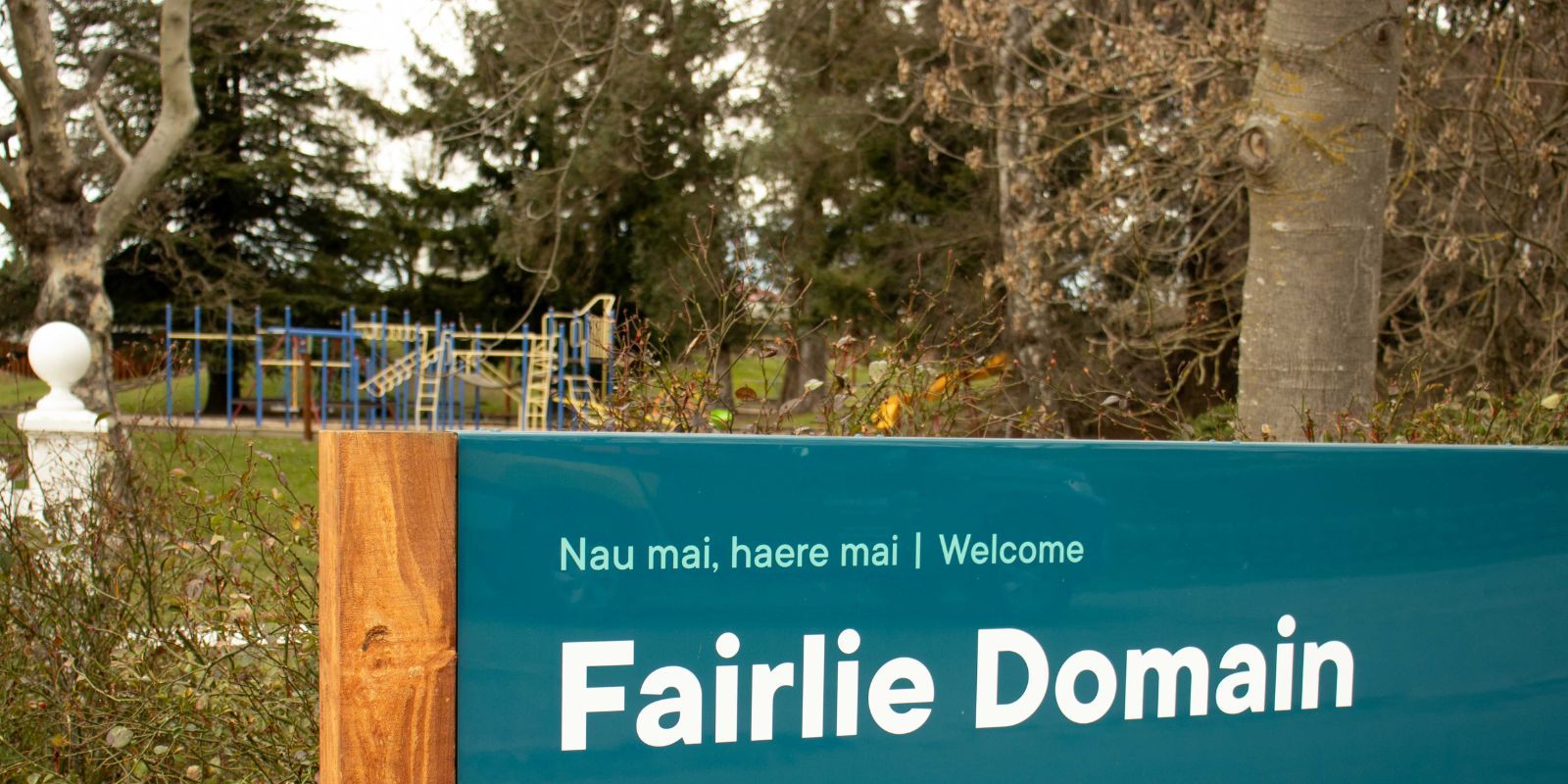 Fairlie domain banner image